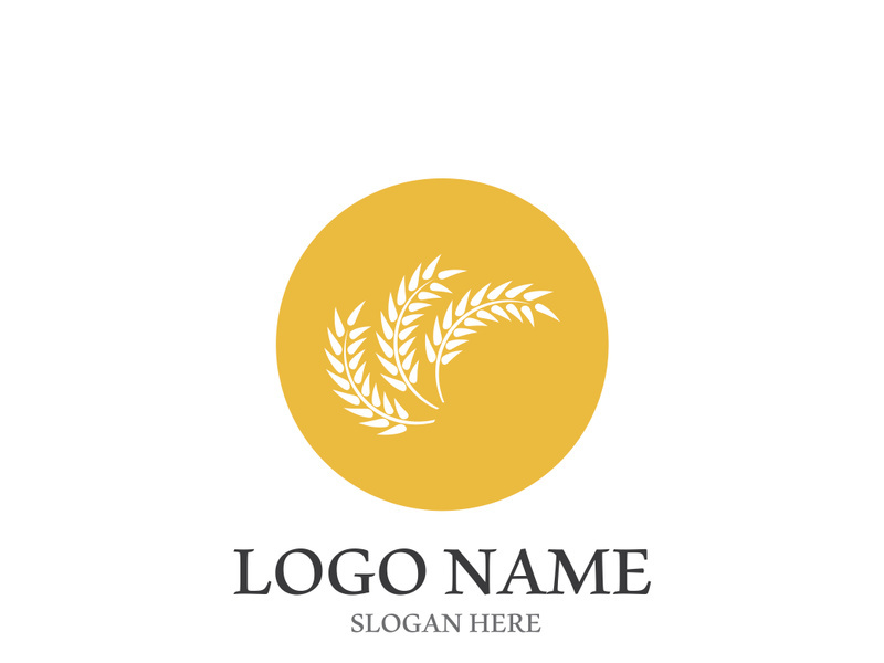 Wheat logo vector icon illustration design