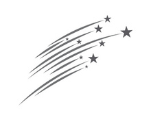 Faster Star Logo Template