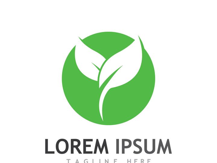 Natural green leaf logo design.