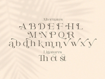 Awaken - Casual Serif Font