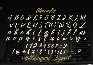 Vagnotie - Modern Brush Font