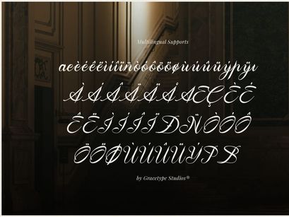 Aipshar | Elegant Script