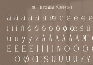 Chelmsford - Display Serif Font