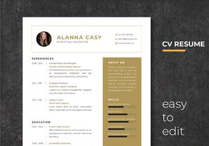 Clean CV Resume Template - Manager