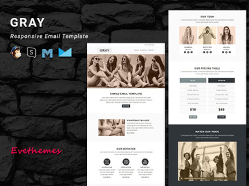 GRAY - Responsive Email Template preview picture