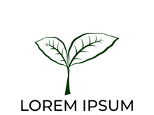 Green leaf logo design vector illustration