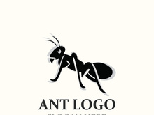 Ant logo design silhouette. Isolated animal ants on background design template vector