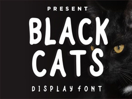 Black Cats preview picture