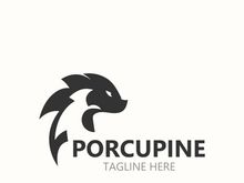 Porcupine logo design. animal vintage minimalist logo Hedgehog modern template icon