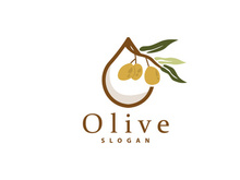 Olive Oil Logo, Olive Leaf Plant Herbal Garden Vector