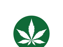 Canabis leaf logo and symbol vector