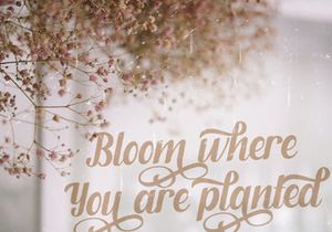Fendysa - Beautiful Romantic Script Font