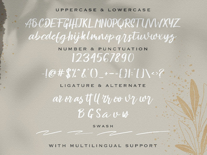 Amelliz - Calligraphy Brush Font