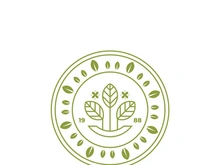 Leaf logo