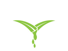 Aloe Vera logo icon design symbol beauty skin care