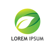 Natural green leaf logo design.