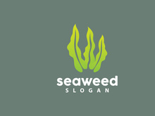Seaweed Logo, Underwater Plant Vector