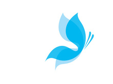 Beauty Butterfly Vector icon design