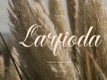 Larfioda | Elegant Script Font preview picture