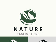 Nature leave logo design, vector plant eco style botanical collection business template