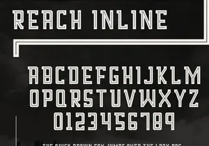 Reach Display Font Family