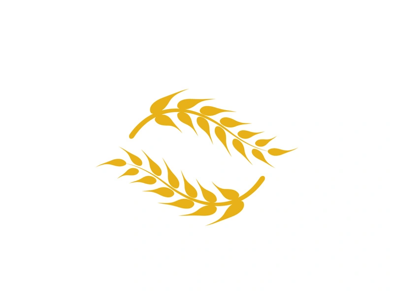 Agriculture wheat vector