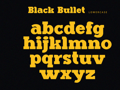 Black Bullet - Serif Font