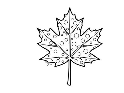 Maple leaf coloring page. Hand drawn autumn foliage outline with decorative circle patterns.