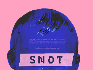SNOT Display Font preview picture