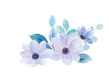 Vector Flower Watercolor Illustration