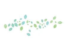 Mint Leaf icon template  illustration