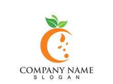 Orange logo design Vector icon illustration design