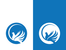 Dove bird logo vector design illustration