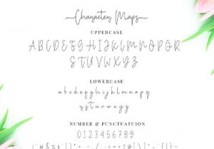 Miya Wayne - Modern Lovely Script Font