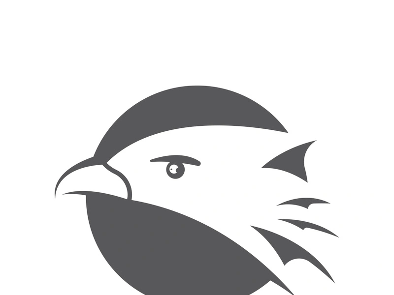 Falcon logo template vector illustration design