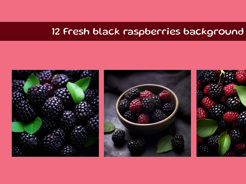 Fresh black raspberries background