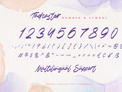 Tadcaster - Bold Script Font