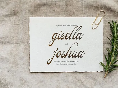 Pitholica Delicate | Classic Elegant Script