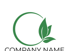 Green leaf logo design vector illustration