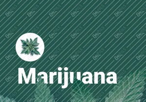 Diseño de app de marihuana medicinal
