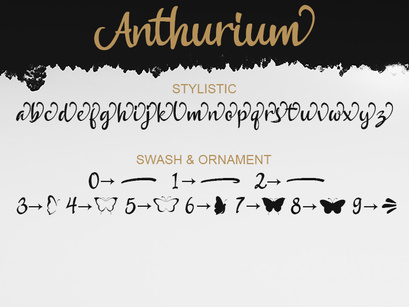 Anthurium Script Font