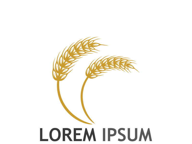 Organic wheat farm logo template.