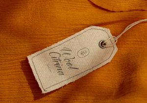 Yonella | Handwritten Solid Script