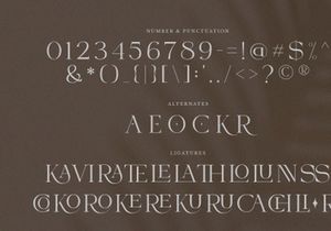 VIBERATE || ligature typeface