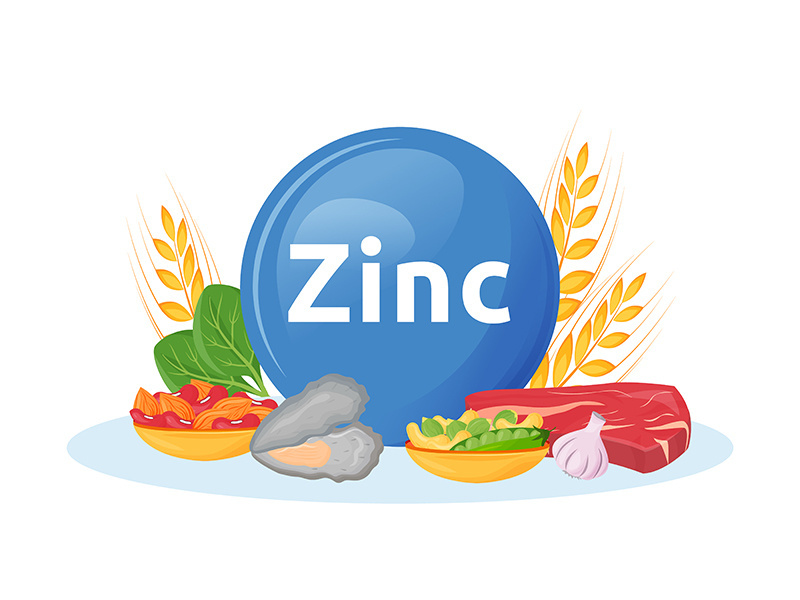 Products rich in zinc cartoon vector illustration
