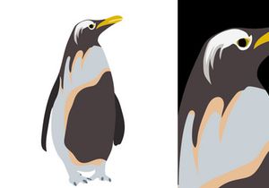 Penguins Vector Bundle