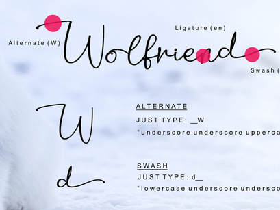 Wolfriend - Modern Handwritten Font