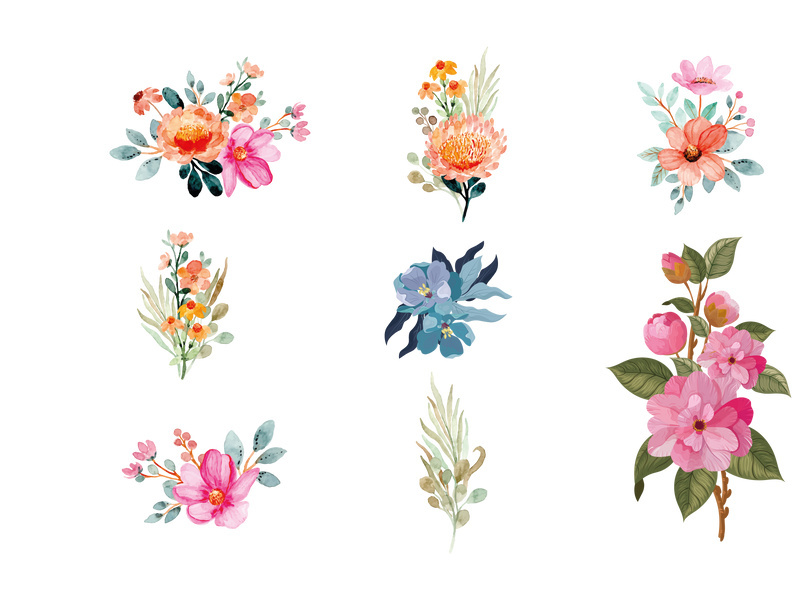 Vector Flower Watercolor Illustration