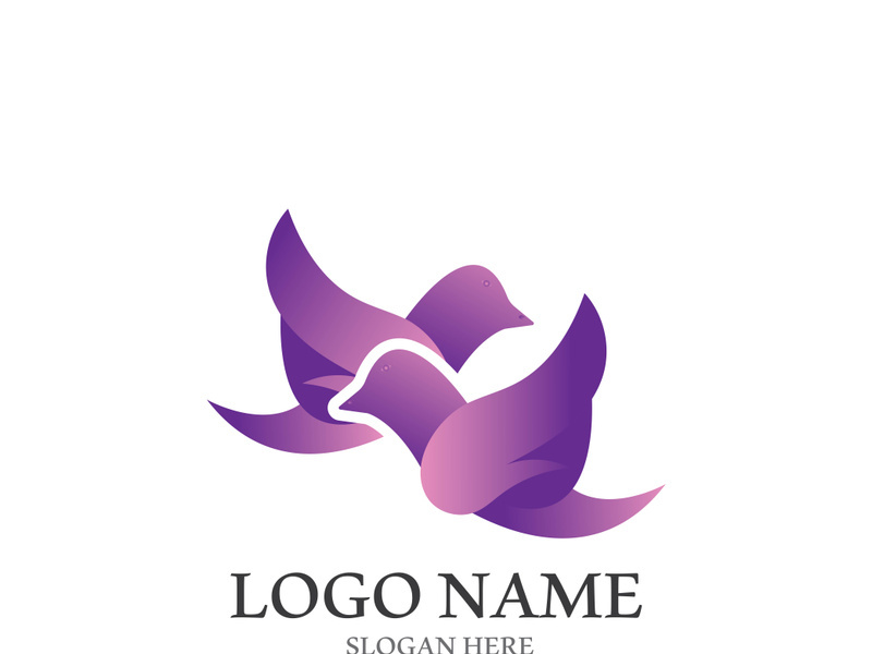 Dove bird logo vector design illustration