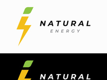 electric lightning logo, using modern vector design concept.